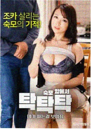 母亲的账本 家庭剧集封面